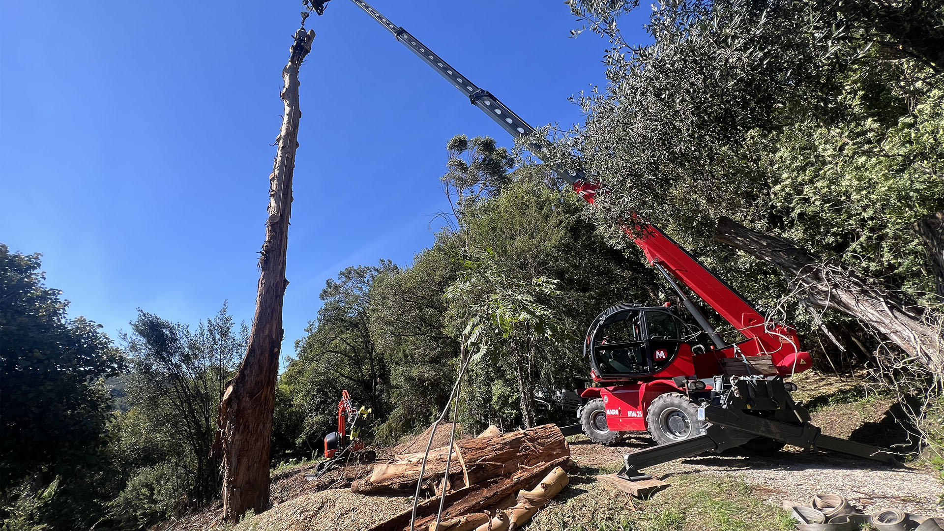 photo-abatage-01 Travaux forestiers sur l'ensemble des Alpes-Maritimes (06) : entretien de forêts privées, gestion de boisements & interventions techniques en zones naturelles