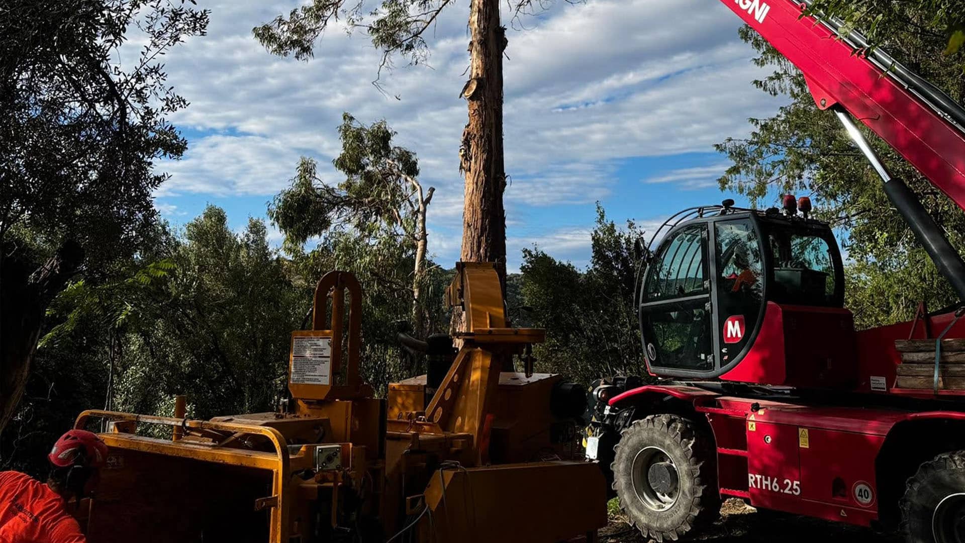 Travaux forestiers Biot - Arboriste 06 - Alpes-Maritimes (06)