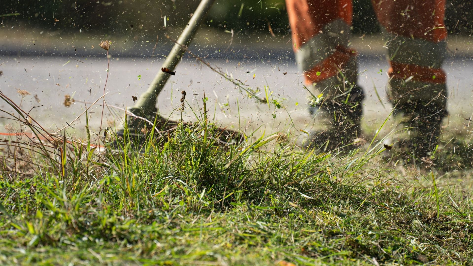 débroussaillage-04 Protégez vos terrains et votre habitat avec un débroussaillage professionnel sur l'ensemble des Alpes-Maritimes - Devis Gratuit